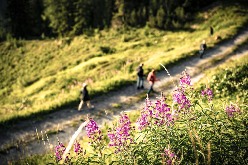 Package Alpine Escape – Raus aus dem Alltag.